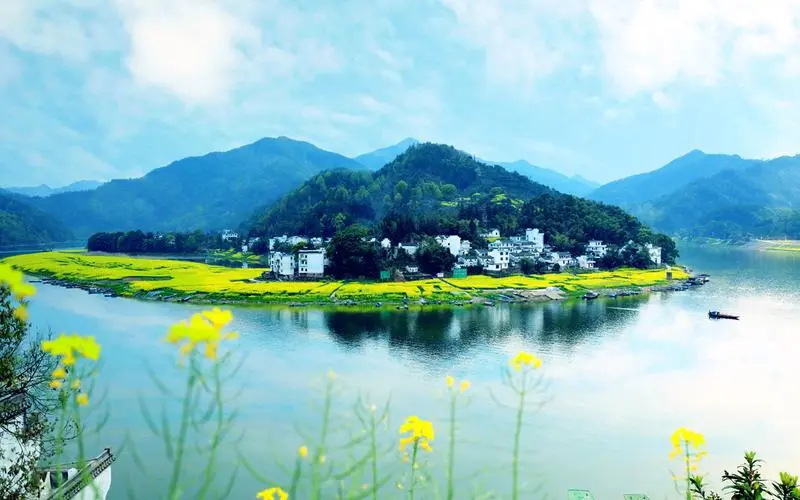 创意高端